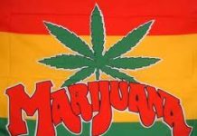 Diez cosas que todos deberían saber sobre la marihuana Diez cosas que todos deberían saber sobre la marihuana