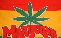 Diez cosas que todos deberían saber sobre la marihuana
