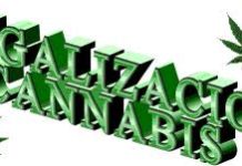 Efectos de la marihuana Efectos de la marihuana