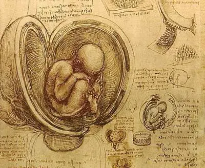 Psicoterapia psiquedélica actual: estudios recientes
