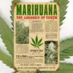 ¿Por qué es ilegal la marihuana? mariyouth
