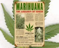 mariyouth