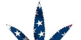 legalize_usa