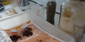 extraccionresina