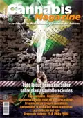 Portada Small 112
