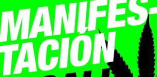 MARCHA MUNDIAL POR LA LEGALIZACIÓN DE LA MARIHUANA MADRID 2013