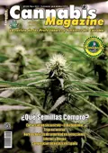 numero107