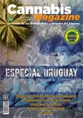 Portada Small 112