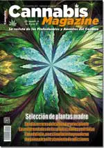Portada Small 112