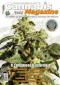 Portada Cannabis Magazine 124