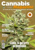 portada145