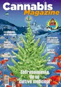 portada152