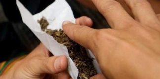 ¿Empieza a agrietarse el muro legal contra la marihuana?