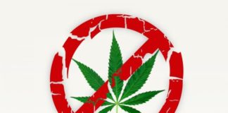 ¿Por qué el alcohol sí y el cannabis no?