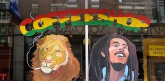 amsterdam shop window