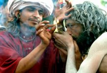 El cannabis puede volver a Nepal como en los tiempos hippies con la despenalización El cannabis puede volver a Nepal como en los tiempos hippies con la despenalización