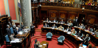 Gobierno uruguayo promueve la investigación del uso medicinal del cannabis