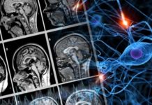 Los beneficios del cannabidiol, la molécula milagrosa Los beneficios del cannabidiol, la molécula milagrosa