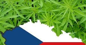 La policía checa cierra los grow shops.