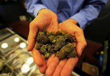dispensario-marihuana