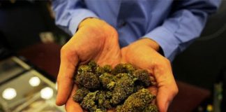 dispensario-marihuana
