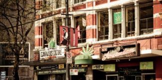 Cannabis: industria que crece de la mano de la innovación
