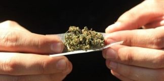España: Se presenta una ILP en el congreso de los diputados para regular el cannabis