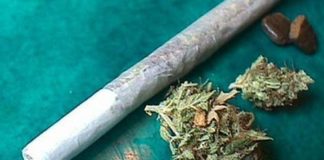 La despenalización moral de las drogas
