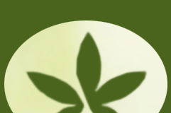 logo cáñamo