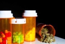 El cannabis rico en CBD puede ser útil en el autismo cannabis-medicinal5