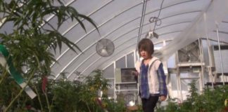 Los padres de niños de Utah con epilepsia aguda saludaron una nueva ley estatal que les permite obtener extracto de marihuana que, según dicen, les ayuda cuando tienen ataques, aunque conseguirla no es nada fácil