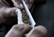 Más cosas curiosas que los jueces han dicho sobre el cannabis Más cosas curiosas que los jueces han dicho sobre el cannabis