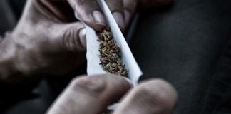 La Comisi&oacute;n Europea propone un voto unificado de la UE sobre la calificaci&oacute;n del cannabis de la OMS