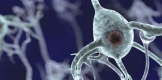 El cannabis alivia el dolor y el movimiento en pacientes con enfermedad de Parkinson en un estudio clínico abierto