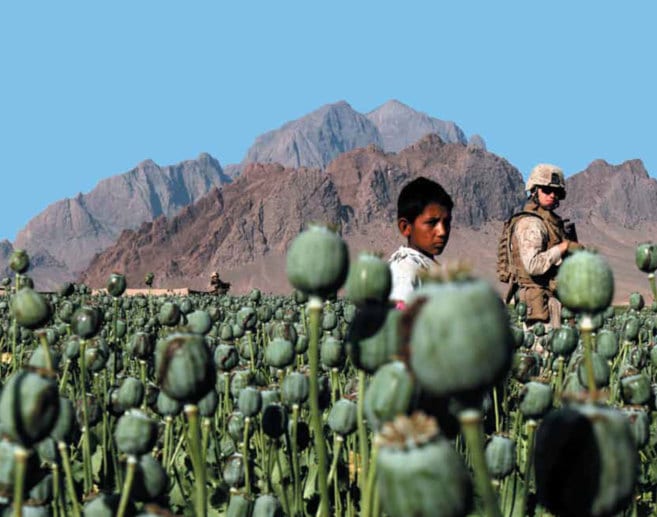 Un niño y un soldado en un campo de opio es la imagen elegida para ilustrar el informe.