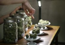 Massachusetts se suma a la venta legal de marihuana recreativa en EEUU dispensario3