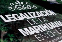 Chile da un paso histórico hacia la legalización del autocultivo de cannabis con enfoque en derechos humanos Chile da un paso histórico hacia la legalización del autocultivo de cannabis con enfoque en derechos humanos