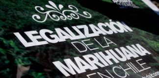 Chile da un paso hist&oacute;rico hacia la legalizaci&oacute;n del autocultivo de cannabis con enfoque en derechos humanos