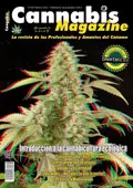 numero105