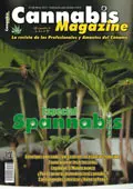 numero107