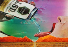 N-Dimetiltriptamina (DMT). 1ªparte N-Dimetiltriptamina (DMT). 1ªparte