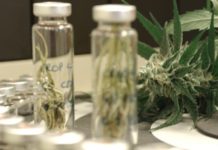 El cannabis puede mejorar el comportamiento en pacientes con demencia según un estudio observacional El cannabis puede mejorar el comportamiento en pacientes con demencia según un estudio observacional
