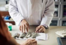 Farmacéuticos guipuzcoanos se forman en el uso terapéutico del cannabis Farmacia con cannabis medicinal