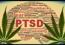 ¿Es tan bueno el CBD como ansiolítico? ¿Es tan bueno el CBD como ansiolítico?