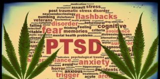El consumo de cannabis se asocia con una reducción de los síntomas en pacientes con estrés post-traumático