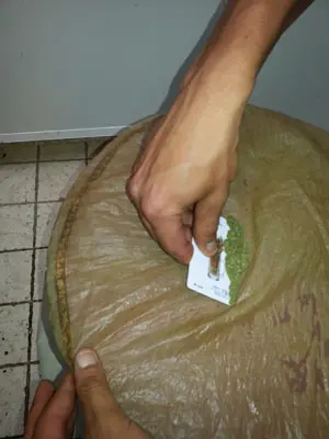 Si no dispones de una lavadora Bubbleator , puedes dejar que los tricomas decanten (se depositen en el fondo) y eliminar unos litros de agua de arriba (que no llevan tricomas) para que te sea m&aacute;s f&aacute;cil trabajar con las mallas.