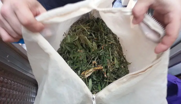 No llenes la bolsa al m&aacute;ximo para que la acci&oacute;n mec&aacute;nica sobre las hojas sea m&aacute;s efectiva.