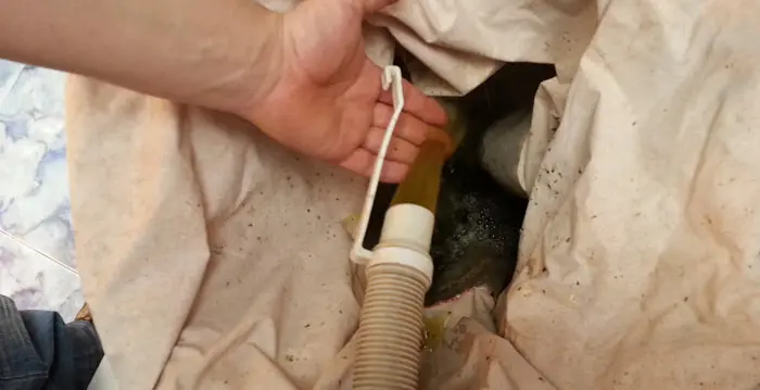 INSERT IMAGEN 9: Si no dispones de una lavadora Bubbleator , puedes dejar que los tricomas decanten (se depositen en el fondo) y eliminar unos litros de agua de arriba (que no llevan tricomas) para que te sea m&aacute;s f&aacute;cil trabajar con las mallas.