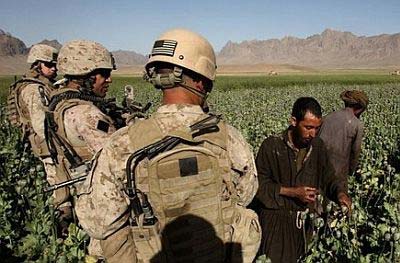 Soldados americanos miran atentamente las labores agrícolas de unos afganos