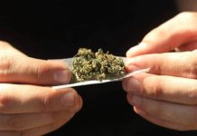 La ineficacia de la prohibición El de la foto no sabe que hay que picar los cogollos para poder liarse un porro.